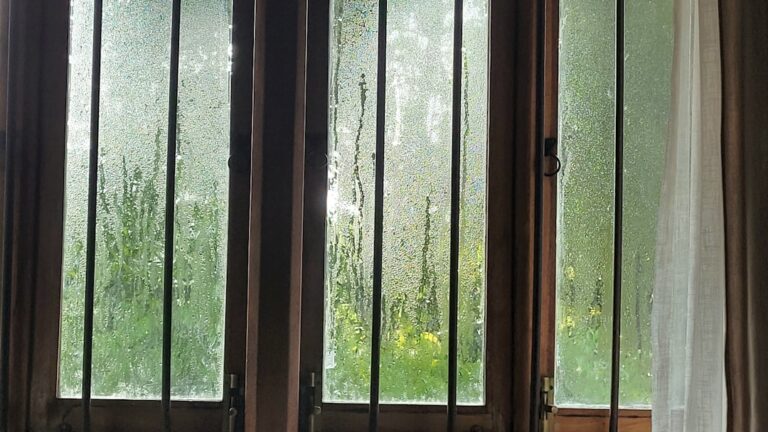 where to buy replacement glass for storm door